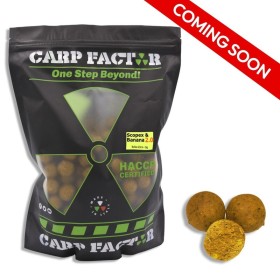CARP FACTOR Boilies Scopex & Banana 2.0 20mm