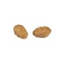 FOX EDGES TIGERNUTS