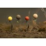 Korda Pop Up Boilie Essential Cell