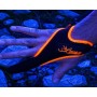 Advance Spyder Spod Kevlar Casting Glove