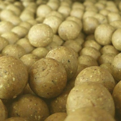 S-Line SPOD Boilies Semi-Solubili The Elements 2,5 kg