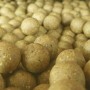 S-Line SPOD Boilies Semi-Solubili The Elements 2,5 kg