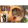 FOX EDGES ZIG ALIGNA